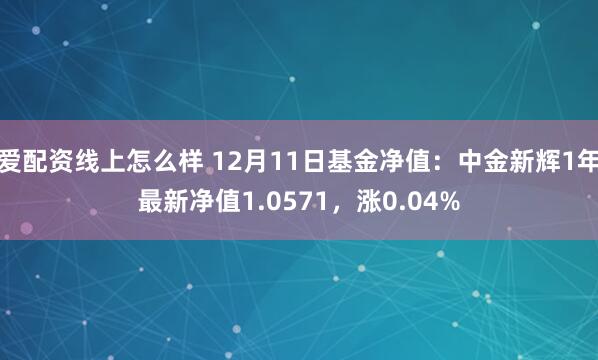 爱配资线上怎么样 12月11日基金净值：中金新辉1年最新净值1.0571，涨0.04%