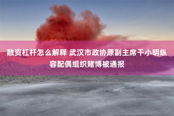 融资杠杆怎么解释 武汉市政协原副主席干小明纵容配偶组织赌博被通报