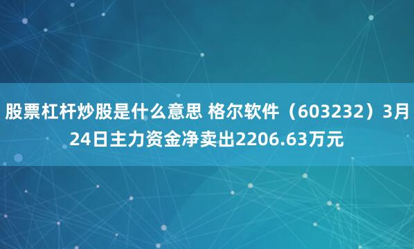股票杠杆炒股是什么意思 格尔软件（603232）3月24日主力资金净卖出2206.63万元