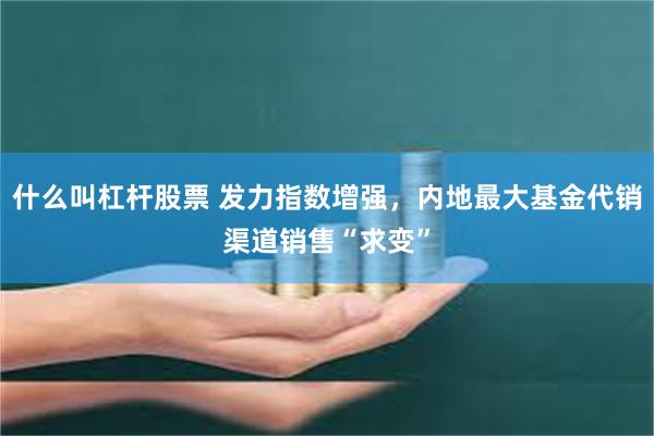 什么叫杠杆股票 发力指数增强，内地最大基金代销渠道销售“求变”