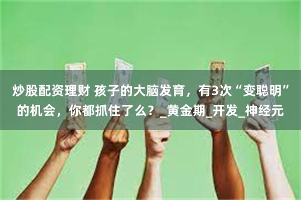 炒股配资理财 孩子的大脑发育，有3次“变聪明”的机会，你都抓住了么？_黄金期_开发_神经元