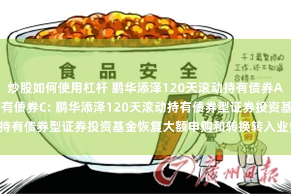 炒股如何使用杠杆 鹏华添泽120天滚动持有债券A,鹏华添泽120天滚动持有债券C: 鹏华添泽120天滚动持有债券型证券投资基金恢复大额申购和转换转入业务的公告