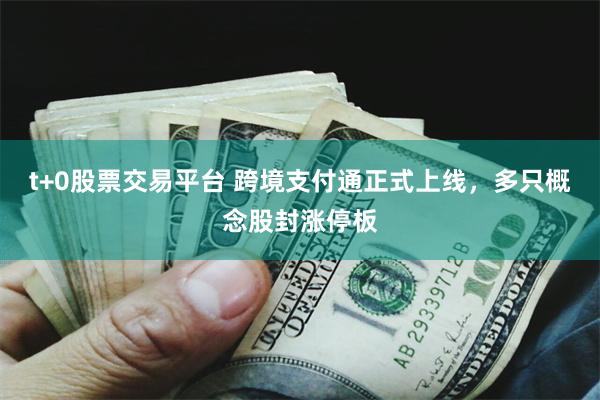 t+0股票交易平台 跨境支付通正式上线，多只概念股封涨停板
